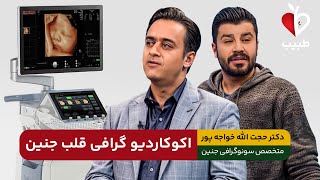 روش انجام اکو کاردیوگرافی قلب جنین چیست؟!  با دکتر خواجه پور در برنامه طبیب