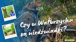 Wałbrzych - Niedźwiadki