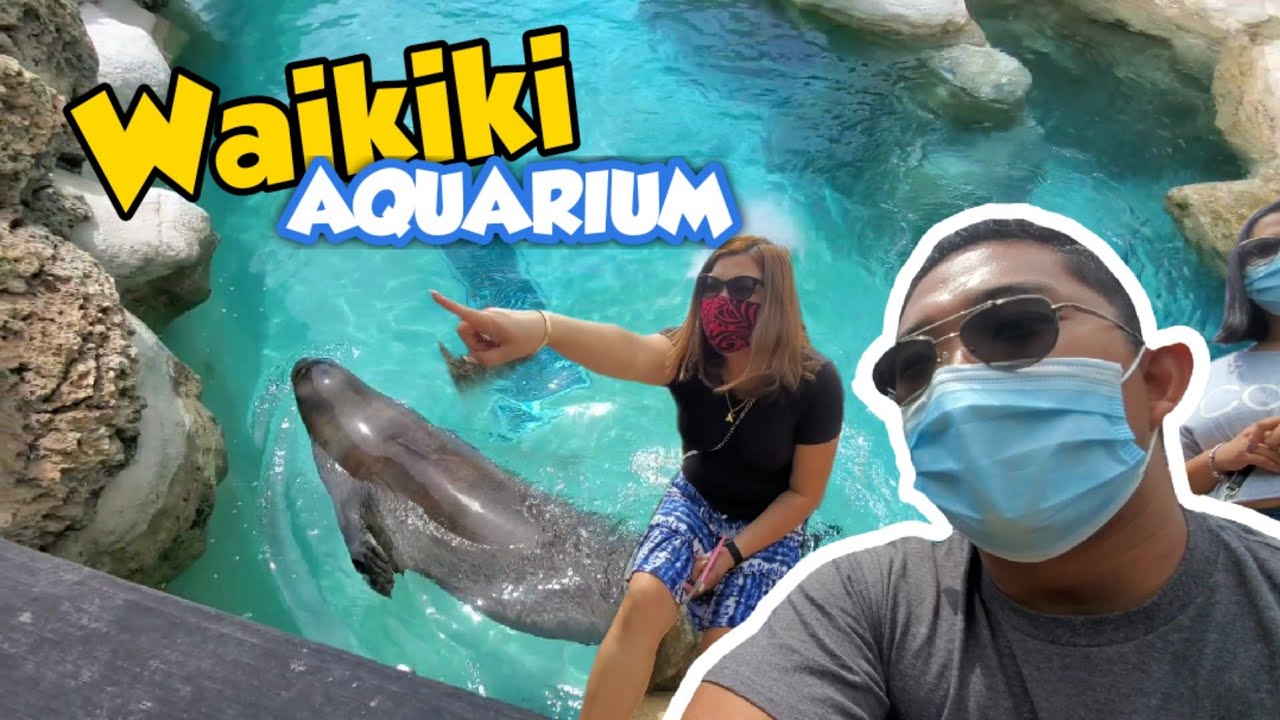 WAIKIKI AQUARIUM | LET'S TOUR OAHU HAWAII | ANDREW SOBREPENA - YouTube