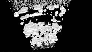 ZEISS ATLAS 3D - Simultaneous Milling and Imaging for FIB-SEM