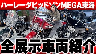 【Harley-Davidson】ハーレーダビッドソンMEGA東海にある展示車両を一挙ご紹介！