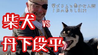 あしたのジョーの丹下段平が柴犬を散歩してくれた！