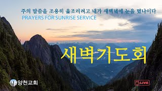 양천교회 새벽기도회 (이사야 7:10-25) 2025 02 06