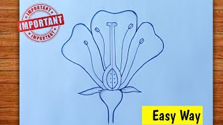 How To Draw Longitudinal Section of Flower / Parts of Flower Diagram / class 10 biology diagram