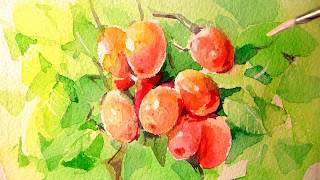 Fruit Painting by Water Color.과일 열매그리기 .