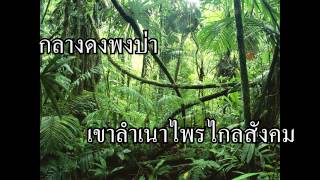 ชาวดง - ดิอิมพอสซิเบิ้ล (เนื้อเพลง)