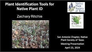April 23, 2024 - Identification Tools for Native Plant ID