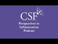 Perspectives in Inflammation – Prof Maurizio Cutolo