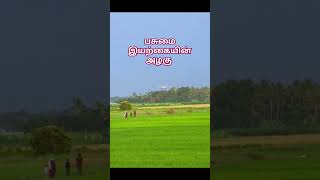 கண்கொள்ளா காட்சி தரும் 🔥வானம் 💙 வானூர்தி  ✈️ வயல் வெளி 💚பசுமை வெளி 💚