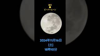 山形県寒河江市散歩にて撮影2024年11月16日(土)18時10分　満月🌕️(ビーバームーン)