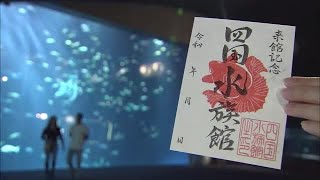 巡礼の「御朱印」がヒントに！？水族館などで話題の「魚朱印」【さぬきのプラス・香川】 (23/10/17 18:00)