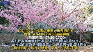 2024 02 29 福壽山農場之千櫻園之旅