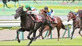 第５７回　京都大賞典 （ＧⅡ）　ヴェラアズール　 松山弘平　2022.10.10　　出走馬：ボッケリーニ、ウインマイティー、アリストテレス、ヒンドゥタイムズ、ディアマンミノル他　　＃キャッスルリバー