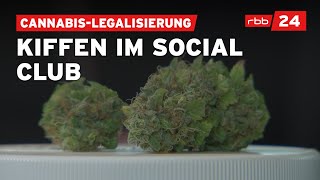 Brandenburgs 1. Cannabis Social Club gegründet