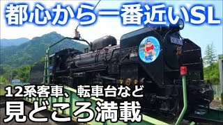 【JRから譲渡された12系客車】秩父鉄道SLパレオエクスプレス号に乗車。