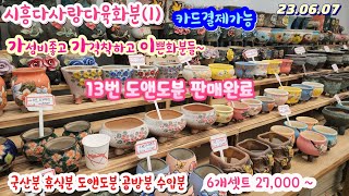 23.06.07/ 시흥다사랑다육화분(1)/가격착하고 가성비 좋은 화분들 넘이뻐요/6종 27,000 부터/국산분/수입분/도앤도분 휴식분 공방분