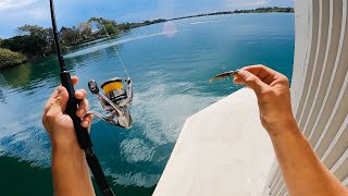 Big Fish Like Little Lures | Light Jigging A Highway Bridge