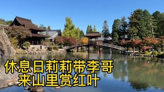 休息日莉莉带李哥来山里赏红叶