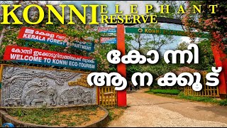 கொன்னி அனகுடு | அருங்காட்சியகம் | Konni Elephant Reserve #Konniecotourism யானை கூண்டு #MalluTracks