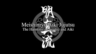 Introducing Meishinryu Aiki Jujutsu : Join the world of Aiki