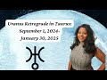 URANUS RETROGRADE IN TAURUS ASTROLOGY 2024-2025-ARE YOU REALLY FREE?