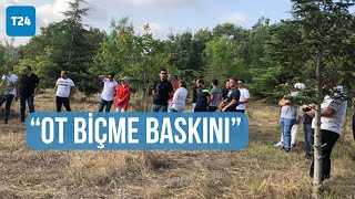 AKP'li Üsküdar Belediyesi, 'ot biçme' gerekçesiyle Validebağ'a girdi