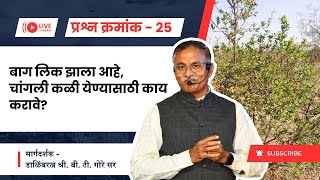 प्रश्न क्रमांक 25 - बाग लिक झाला आहे, चांगली कळी येण्यासाठी काय करावे? @BTGore