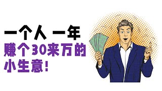 一个人 投资2-3万,一年赚个30来万的小生意!