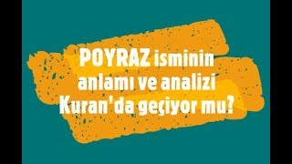 POYRAZ İsminin Anlamı ve Analizi Nedir?