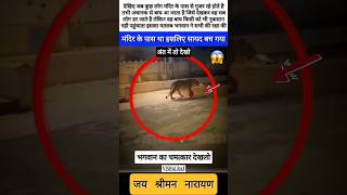 भगवान के मंदिर के पास भक्तो के साथ हुआ चमत्कार 😱 #shorts #viral #god