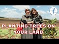 Planting Trees in Israel on Your Land