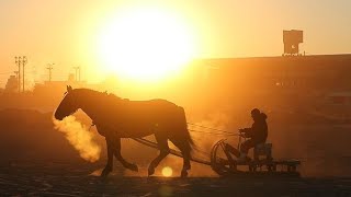 ばん馬　厳寒の朝調教　帯広