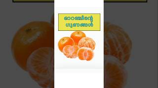 ദിവസവും കഴിക്കുന്ന #ഓറഞ്ചിന്റെ ഗുണങ്ങൾ അറിയാമോ? #Orange #healthtips #benefits