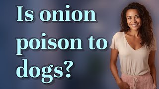 Is onion poison to dogs?