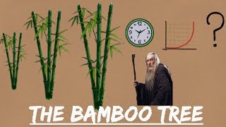 THE STORY OF THE BAMBOO TREE - an inspirational journey
