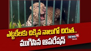 Tirumala: ఎట్టకేలకు చిక్కిన నాలుగో చిరుత.. ముగిసిన ఆపరేషన్‌ | News18 Telugu