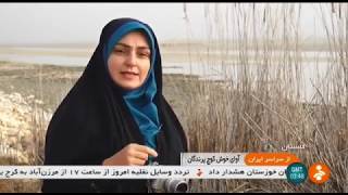 Iran Migrating birds \u0026 Birds census, Golestan proivnce سرشماري پرندگان مهاجر استان گلستان ايران