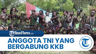 Daftar Mantan Anggota TNI yang Pilih Gabung KKB Papua, Ada yang Kabur Bawa Senjata Api