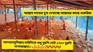 আলহামদুলিল্লাহ চারিদিকে শুধু মুরগি মোট ১৭০০ মুরগি মাশাআল্লাহ।। 🥰🥰🥰🥰🐓🐓🐓🐓