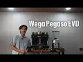 Mesin Kopi Wega Pegaso EVD 1group Komersil Coffee Machine✅✅