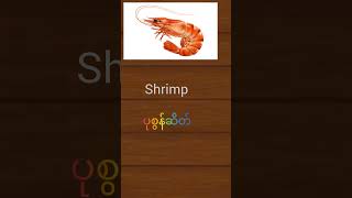 Shrimp #vocabulary