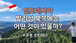 인도네시아 발리섬 - 북쪽에는 어떤 것이 있을까?(우붓,킨타마니)