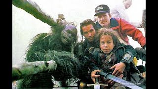 Willow 1988 - Beer, Eggs & Black Root