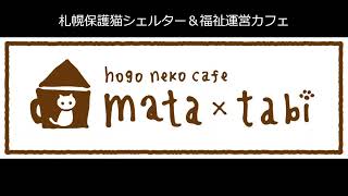 保護猫シェルター＆福祉運営カフェmataxtabi（またたび ）