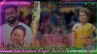 New paneer Piyo|| Santali DJ remix song || release 2020 ||