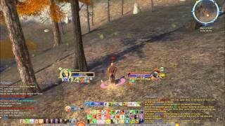 Lotro Evernight Hunter PvP - Coulton