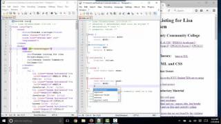 Common css errors not found by the css validator