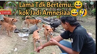 SEKIAN LAMA TIDAK BERTEMU SAMPAI LUPA LUPA INGAT SAMA TUANNYA