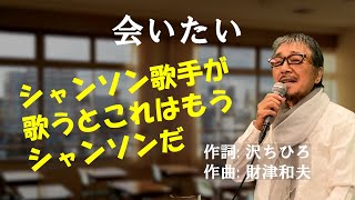 「会いたい」 字幕付きカバー 1990年 沢ちひろ作詞 財津和夫作曲 沢田知可子 若林ケン 昭和歌謡シアター　～たまに平成の歌～