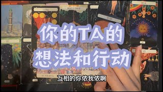 【tarot】你的TA目前的狀態，對你們關係的看法，下周發展趨勢～